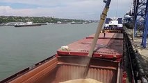 Tahıl Koridoru Anlaşması'nı uzatmayan Rusya'dan dikkat çeken karar: Ukrayna limanına giden her gemi askeri sayılacak