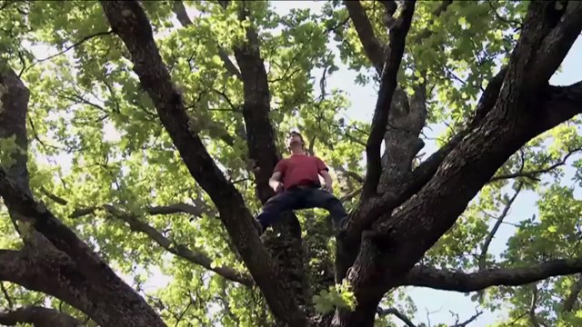 Je fais feu de tout bois (2012) - Bande annonce