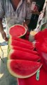 Summer Special Watermelon Cutting Skills Indian Street Food #shorts #short