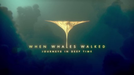 When Whales Walked: Journeys in Deep Time (2019)