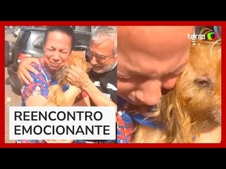 Cão arremessado em acidente de carro reencontra família após 5 dias no RJ