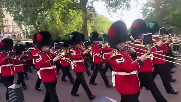 Denis Plater - The King's Men - Plume - Right – Red - Coldstream Guards - Blue - Irish Guards 7/23
