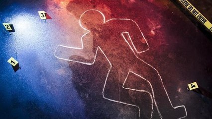 Xavier Dupont de Ligonnès, et s'il était en vie ?