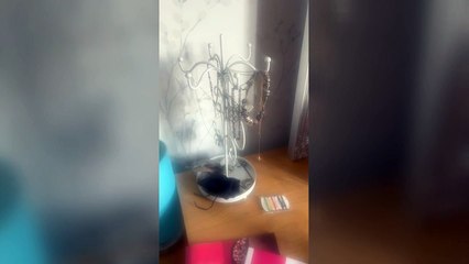 'Vibrations from building site are making our homes shake'