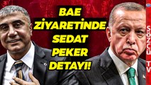 Erdoğan'ın Birleşik Arap Emirlikleri Ziyaretinde Sedat Peker Detayı! Nazif Okumuş Tek Tek Anlattı