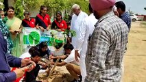 राजस्थान पत्रिका के हरियालो राजस्थान अभियान में लगाए पौधे
