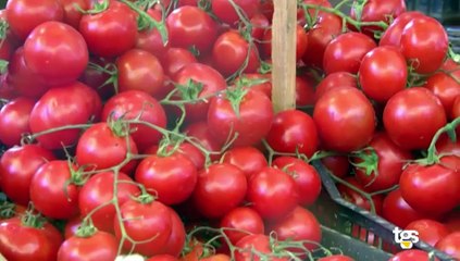 Di Che Pasta Sei – Puntata del 19 luglio 2023