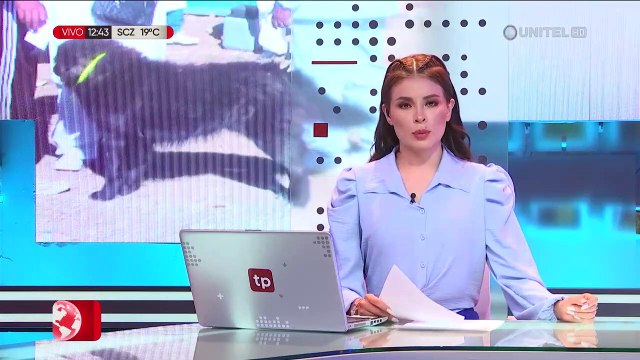 La Paz: Niña de dos años que fue mordida por un perro en Viacha permanece en terapia intensiva