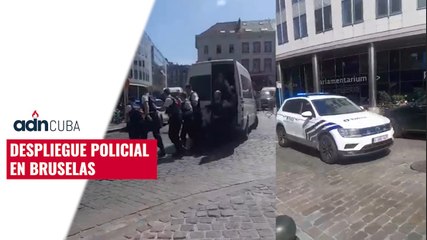 Despliegue policial en Bruselas