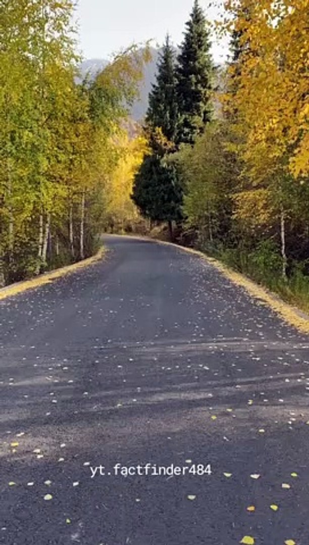 ⁣Autumn Travel Road Video Camera View Instagram Reels (3)