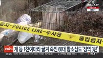 개 등 1천여마리 굶겨 죽인 60대 항소심도 '징역 3년'