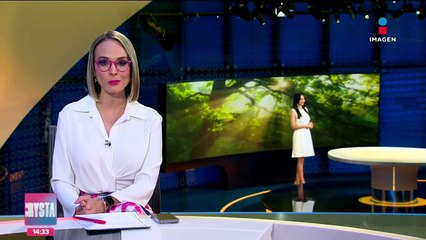 Se vive ola de calor extremo en el mundo