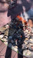 What Happens When Cottonwood Seed Buildup Is Set Ablaze