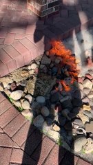 What Happens When Cottonwood Seed Buildup Is Set Ablaze