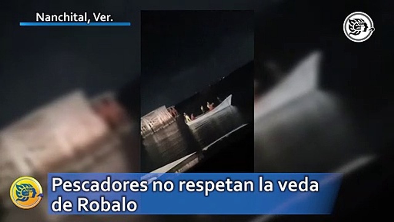 Pescadores no respetan la veda de Robalo