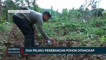 Dua Pelaku Penebangan Pohon di Sabuk Hijau Waduk Jatibarang Semarang Ditangkap
