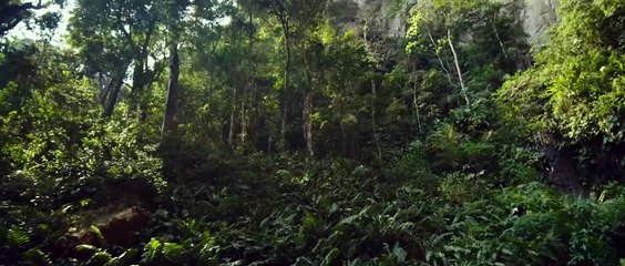 Transformers: O Despertar das Feras | movie | 2023 | Official Trailer