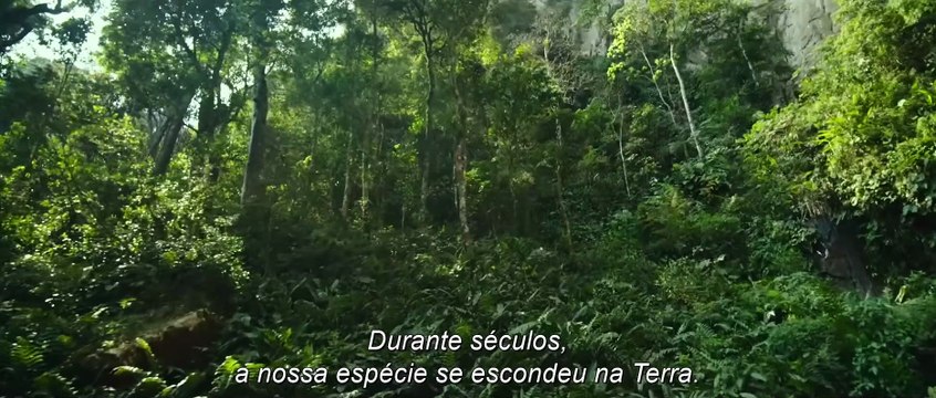 Transformers: O Despertar das Feras | movie | 2023 | Official Trailer