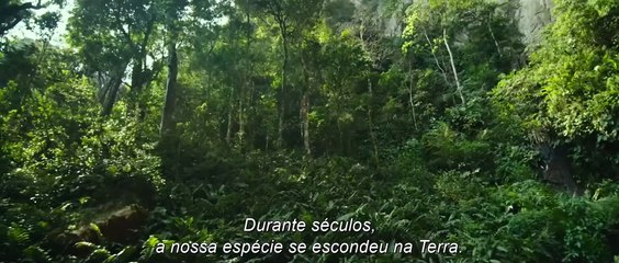 Transformers: O Despertar das Feras | movie | 2023 | Official Trailer