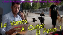 Audio para Hacer Broma Telefonica - Le Vamos a Quitar el Perro !