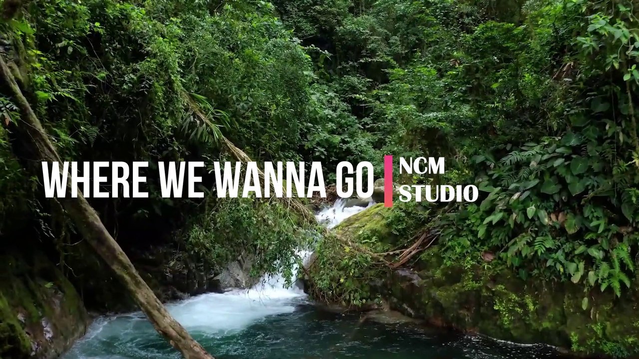 Where We Wanna Go - Patrick Patrikios  Pop Music, Funky Music, Revenge Music, Action Music