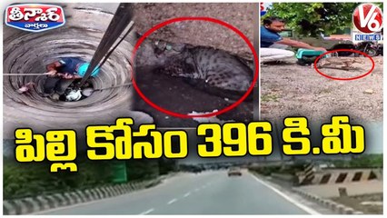 Animal Welfare Organization Rescued Cat Stuck In Well | V6 Teenmaar