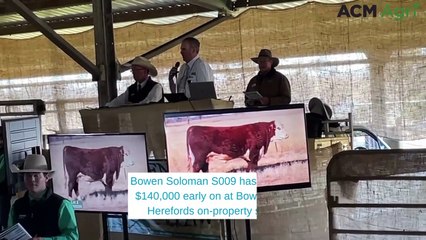 Bowen Poll Hereford bull sells for $140,000 early on in annual sale