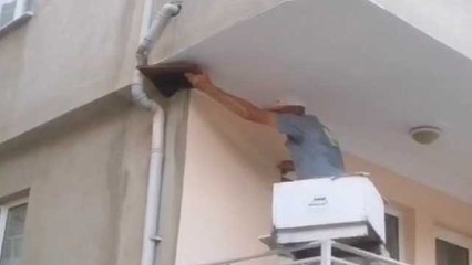 Bursa'da oğul veren arılar balkonu sardı