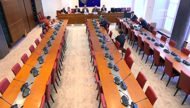 Organisation des groupuscules violents en manifestation : Auditions diverses - Mercredi 19 juillet 2023