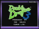 ingame Double Dragon III : The Arcade Game