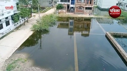 Anti-larval campaign failed: यहां मच्छरों से घर-घर बीमार