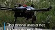 A Drone That Hunts Other Drones #shorts #viral #shortsvideo #video #innovationhub