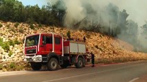 جهود متواصلة للسيطرة على حرائق غابات ملولة التونسية