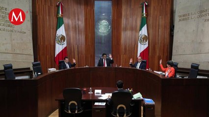 TEPJF avala proceso de candidato opositor y exige regulación INE