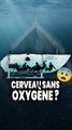 Sous-marin Titan : combien de temps le cerveau survit sans oxygène ?