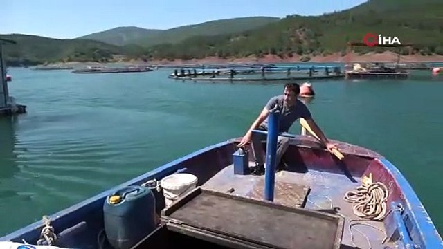 Denizi olmayan kentten Avrupa'ya somon ihracatı