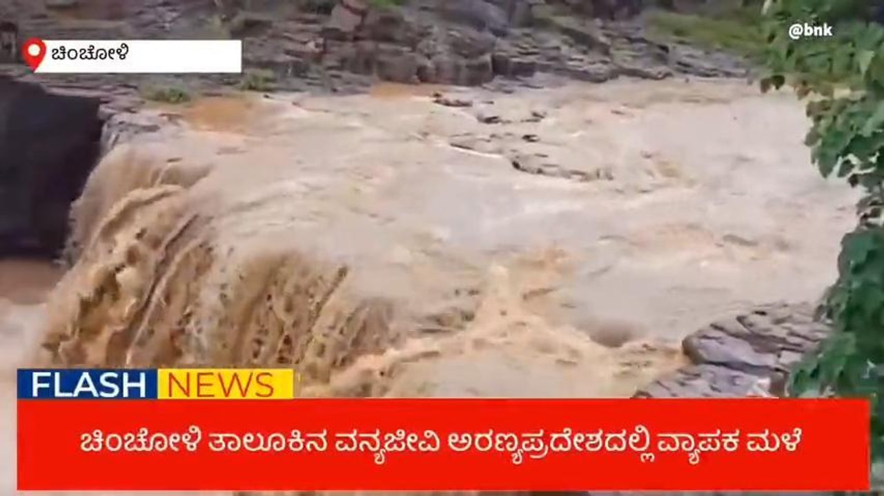 ಚಿಂಚೋಳಿ: ಮೈದುಂಬಿ ಧುಮ್ಮುಕ್ಕುತ್ತಿದೆ ಎತ್ತಪೋತ ಜಲಪಾತ