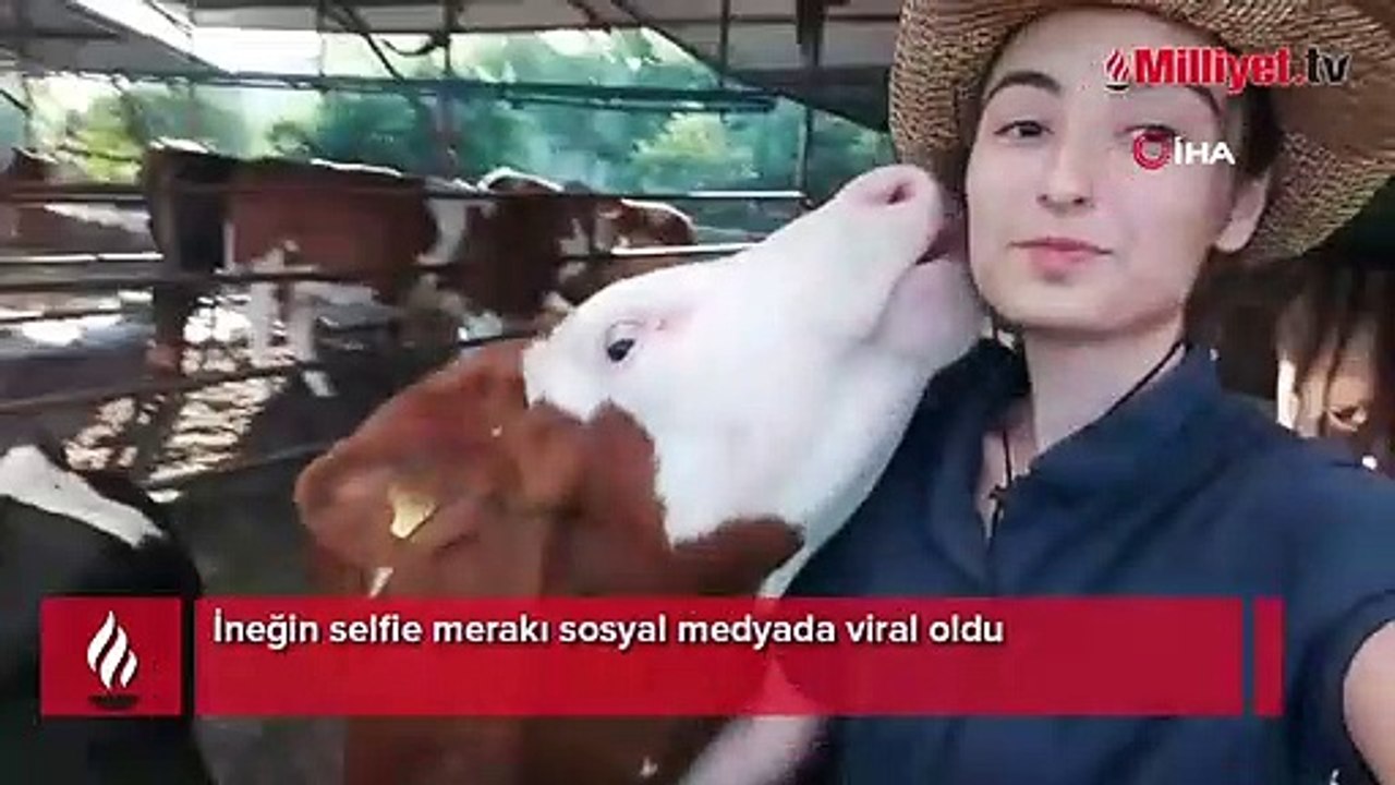 'Meltem gel selfie çekilelim'i bir günde milyonlar izledi: Hepsinin bir ismi var