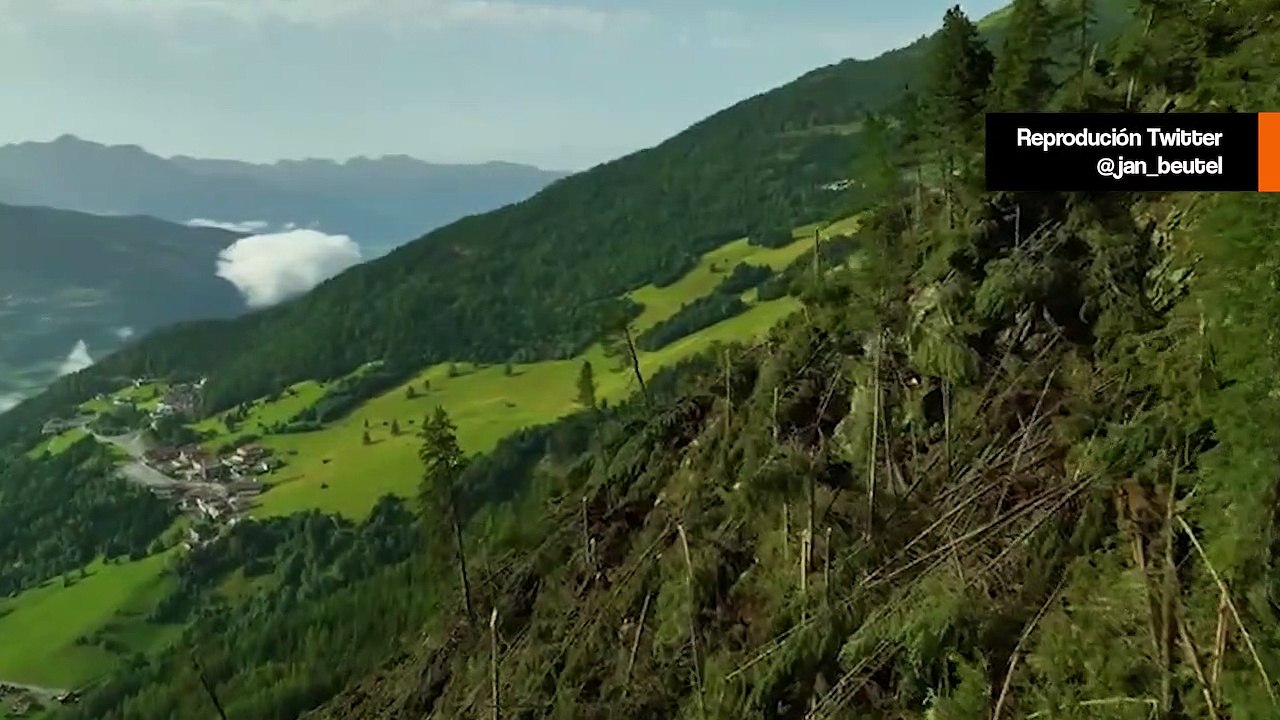 Vidéo : Des vents forts arrachent des arbres sur une montagne en Allemagne