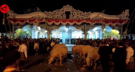 Sambut tahun baru Islam, Keraton Surakarta gelar kirab pusaka