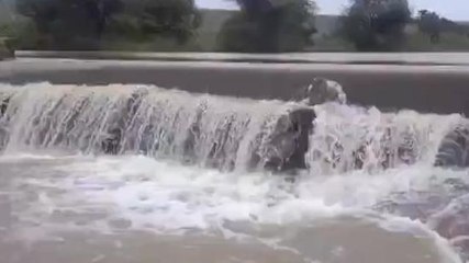 తొగుట: ఉధృతంగా ప్రవహిస్తున్న వాగు.. రాకపోకలు బంద్