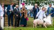 Driffield Show 2023: England's largest one-day agricultural show as Sophie, Duchess of Edinburgh pays a visit