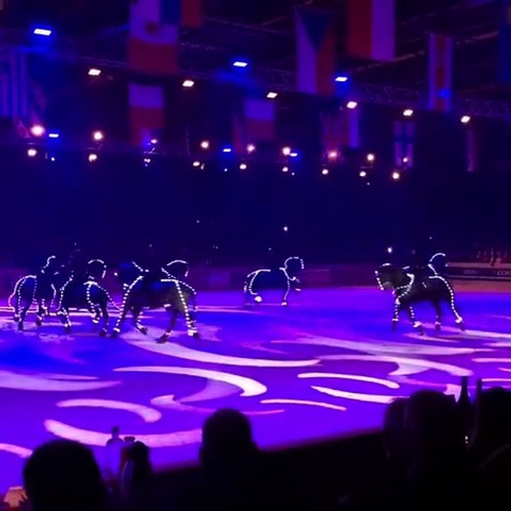 Lighted Friesians. Awesome