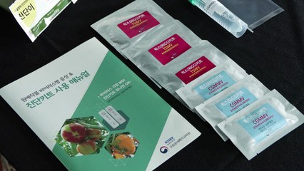 [녹색] "잎이 시들었어요"...바이러스 병 2분 안에 신속 진단 / YTN