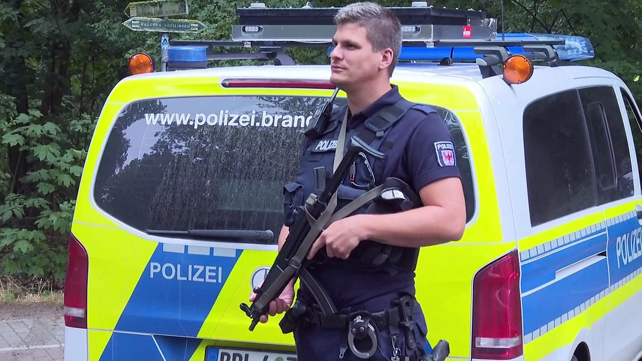 Löwin macht Berliner Süden unsicher