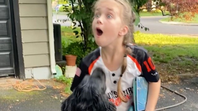 Ex-Bomb Dog Finn Meets Forever Family For First Time | Happily TV