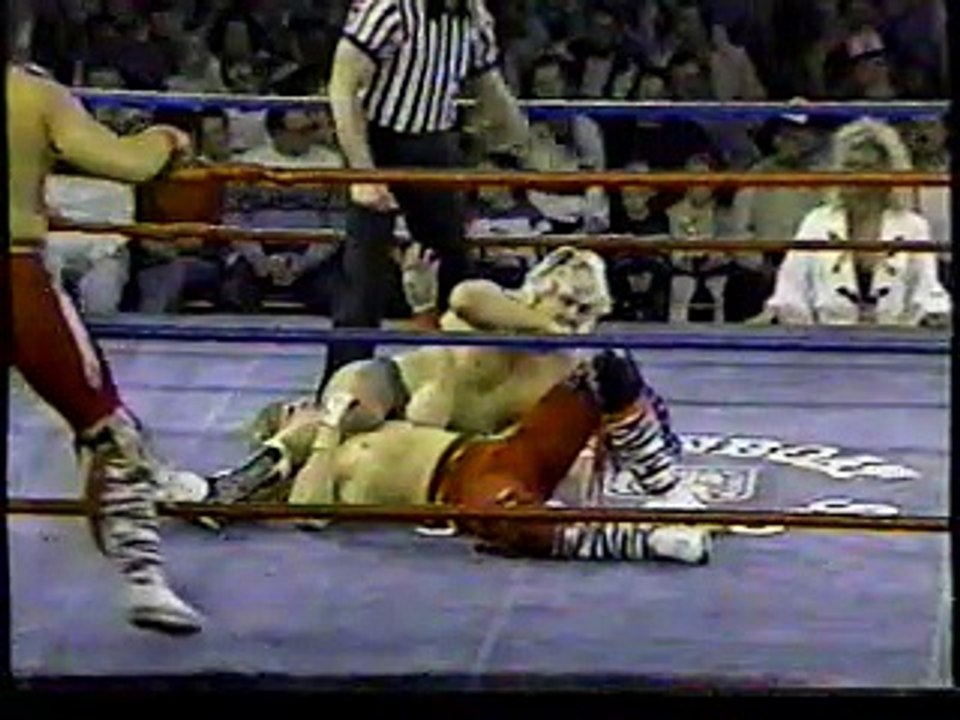 AWA Championship Wrestling 12/31/87 #4
