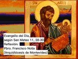 Evangelio del Día, según San Mateo 11, 28-30 - Pbro. Francisco Nolla (20/07/2023)