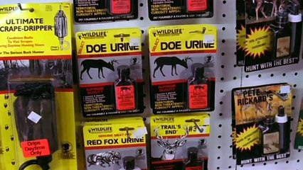 Hemingway Adventure Episode 2 – Explore the Exciting Journey 🌍