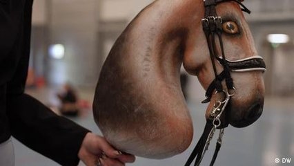 Show jumping with the hobby horse